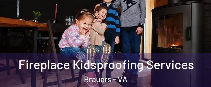 Fireplace Kidsproofing Services Brauers - VA