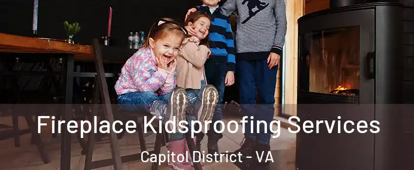 Fireplace Kidsproofing Services Capitol District - VA