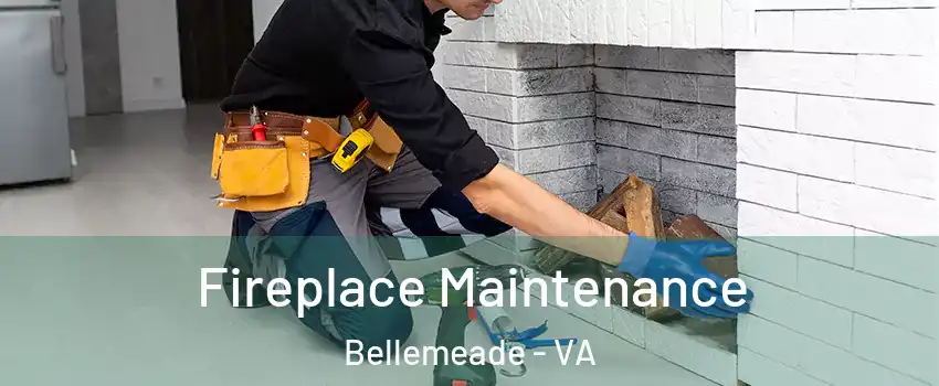 Fireplace Maintenance Bellemeade - VA