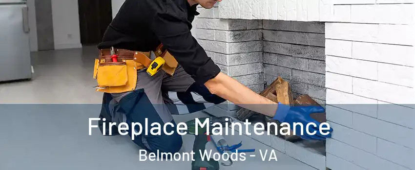 Fireplace Maintenance Belmont Woods - VA