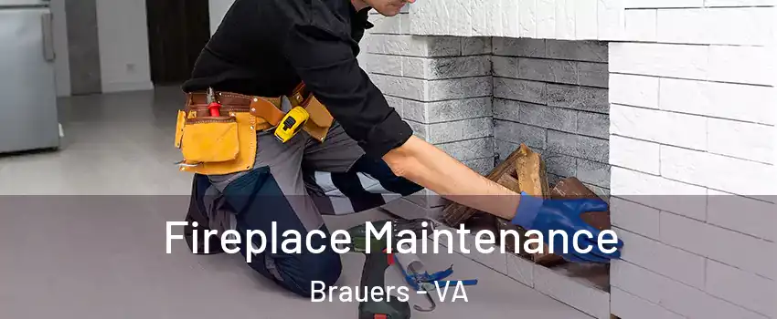 Fireplace Maintenance Brauers - VA