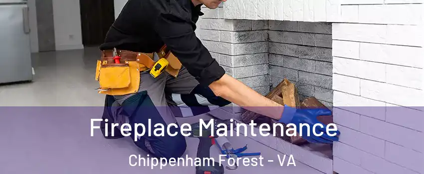 Fireplace Maintenance Chippenham Forest - VA