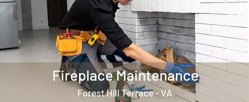 Fireplace Maintenance Forest Hill Terrace - VA