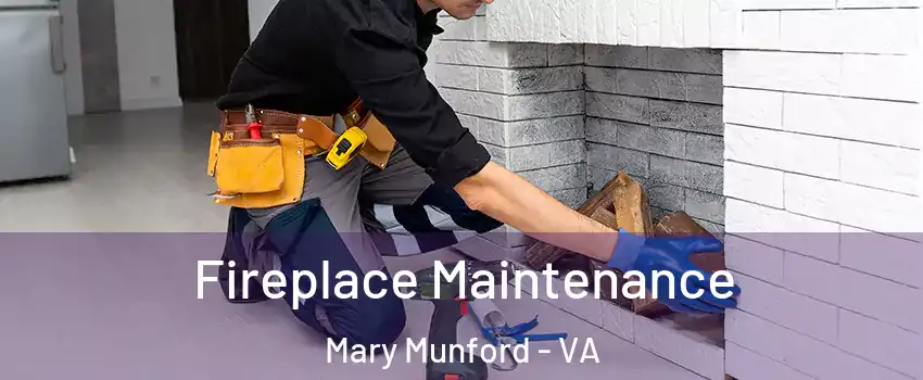 Fireplace Maintenance Mary Munford - VA