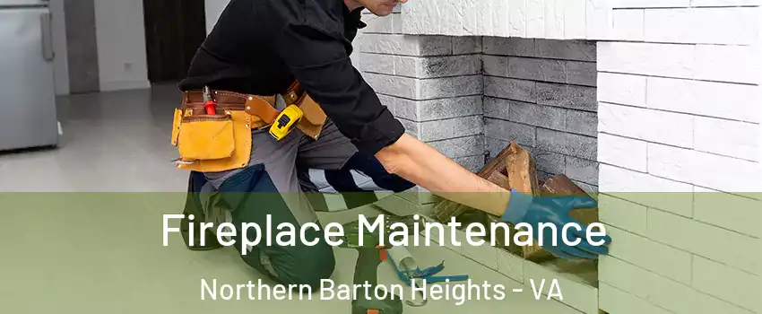 Fireplace Maintenance Northern Barton Heights - VA