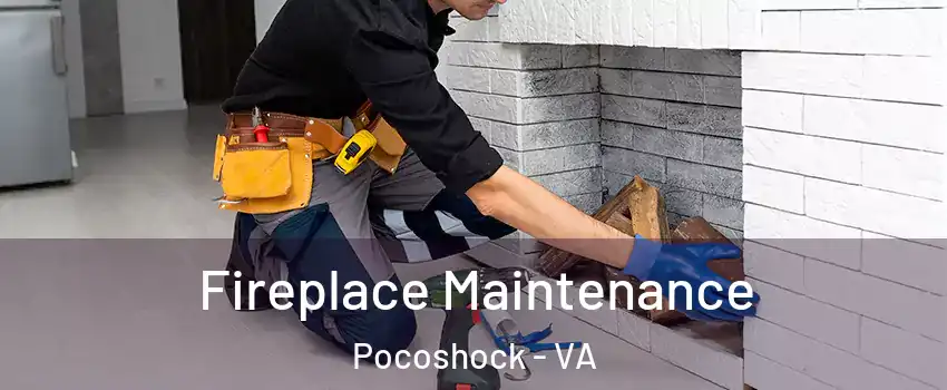 Fireplace Maintenance Pocoshock - VA