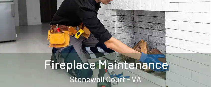 Fireplace Maintenance Stonewall Court - VA