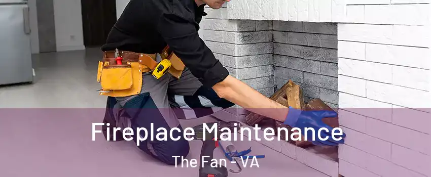 Fireplace Maintenance The Fan - VA