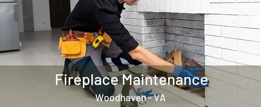 Fireplace Maintenance Woodhaven - VA