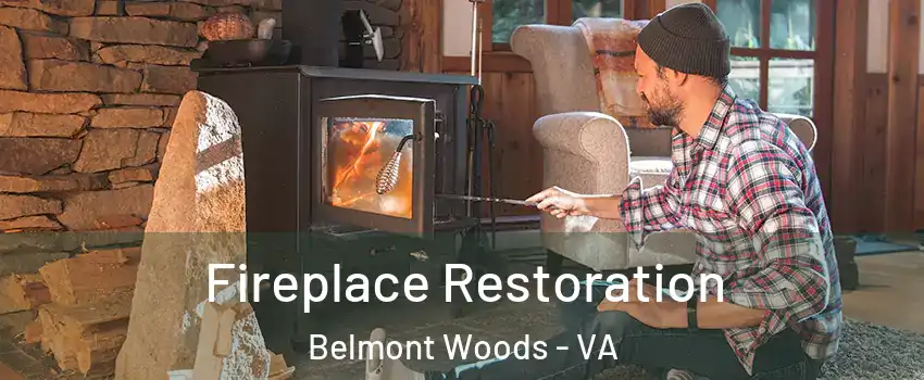 Fireplace Restoration Belmont Woods - VA