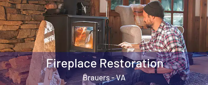 Fireplace Restoration Brauers - VA