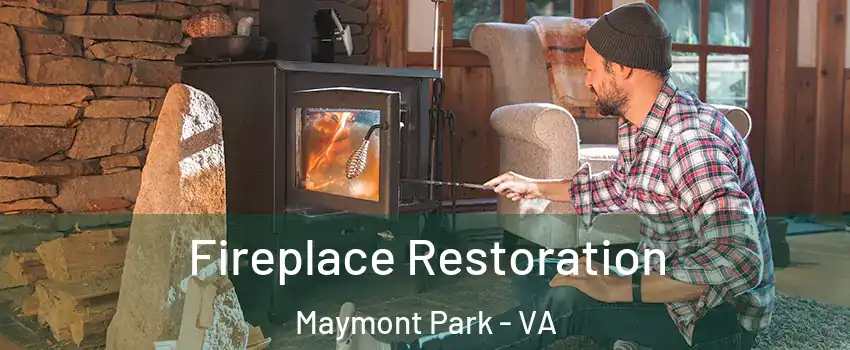 Fireplace Restoration Maymont Park - VA