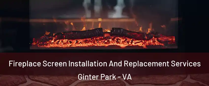 Fireplace Screen Installation And Replacement Services Ginter Park - VA