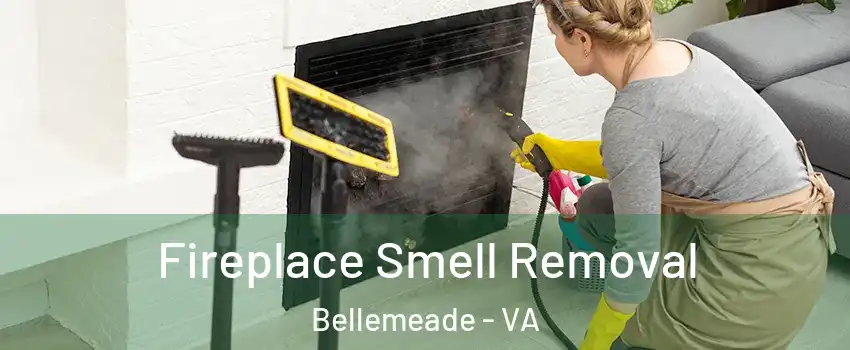 Fireplace Smell Removal Bellemeade - VA