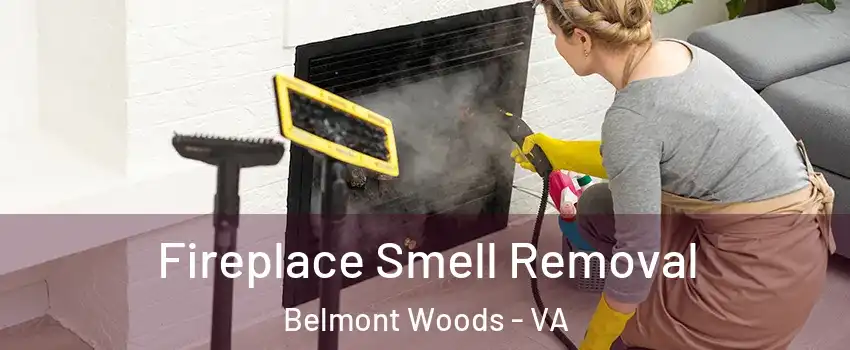 Fireplace Smell Removal Belmont Woods - VA