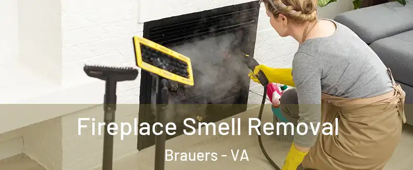 Fireplace Smell Removal Brauers - VA