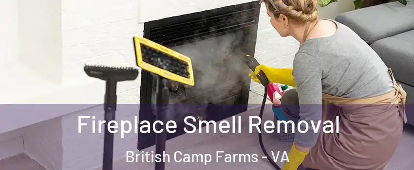 Fireplace Smell Removal British Camp Farms - VA