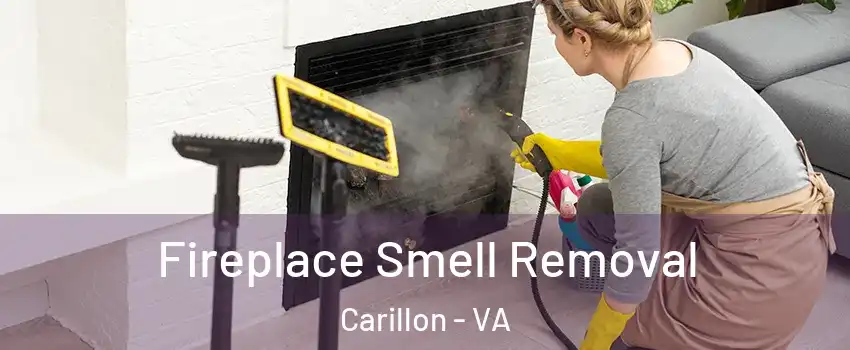 Fireplace Smell Removal Carillon - VA