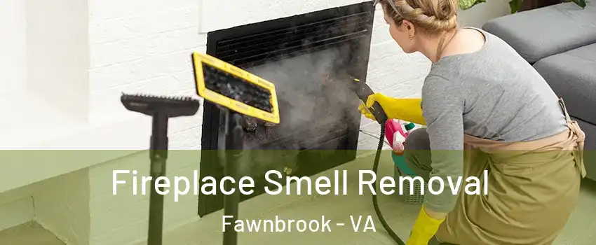 Fireplace Smell Removal Fawnbrook - VA