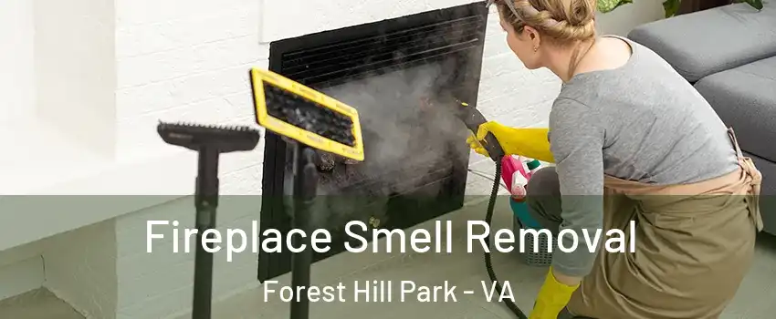 Fireplace Smell Removal Forest Hill Park - VA