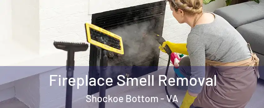 Fireplace Smell Removal Shockoe Bottom - VA