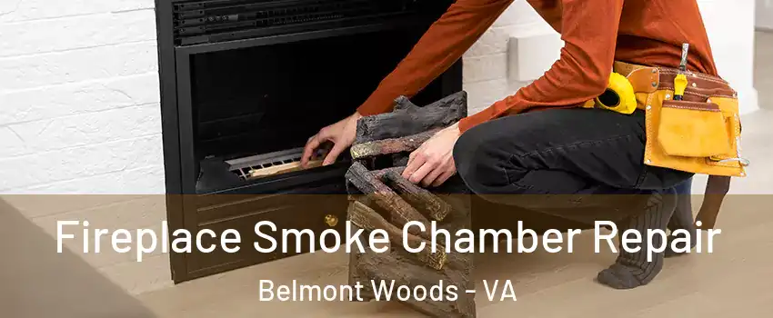 Fireplace Smoke Chamber Repair Belmont Woods - VA