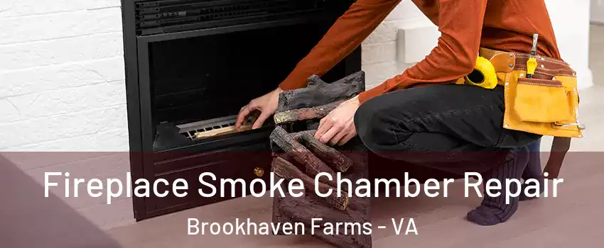 Fireplace Smoke Chamber Repair Brookhaven Farms - VA