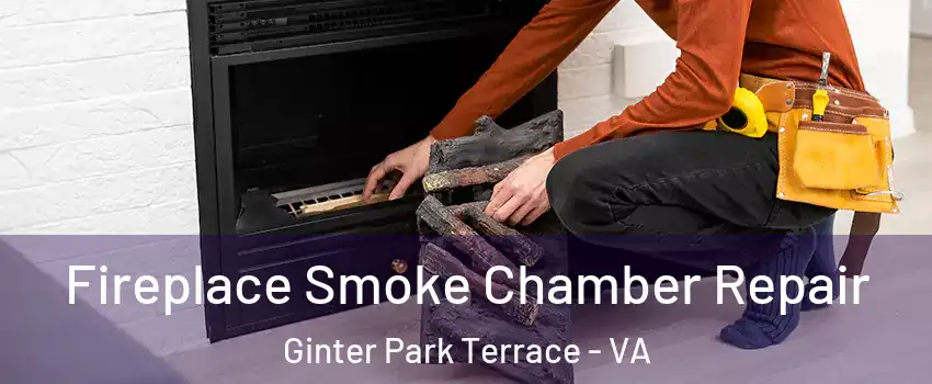 Fireplace Smoke Chamber Repair Ginter Park Terrace - VA