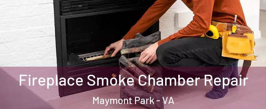 Fireplace Smoke Chamber Repair Maymont Park - VA