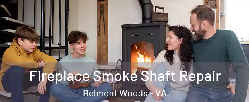 Fireplace Smoke Shaft Repair Belmont Woods - VA