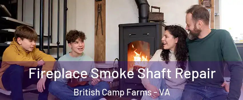 Fireplace Smoke Shaft Repair British Camp Farms - VA