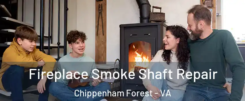 Fireplace Smoke Shaft Repair Chippenham Forest - VA