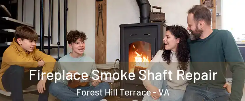 Fireplace Smoke Shaft Repair Forest Hill Terrace - VA