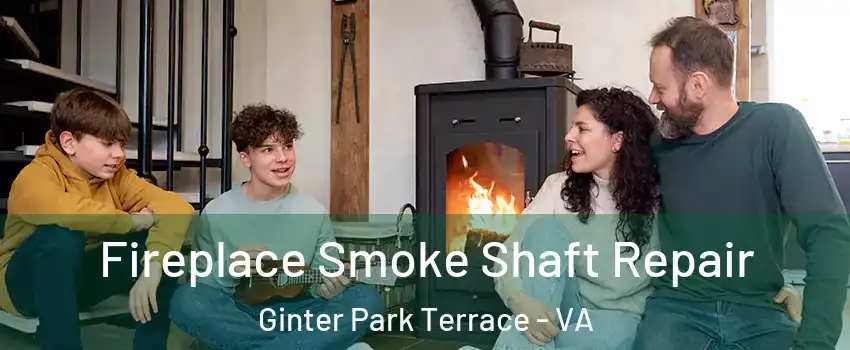 Fireplace Smoke Shaft Repair Ginter Park Terrace - VA