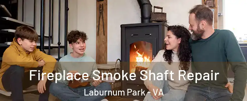 Fireplace Smoke Shaft Repair Laburnum Park - VA