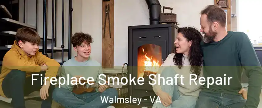 Fireplace Smoke Shaft Repair Walmsley - VA