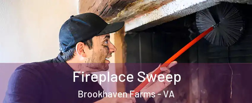 Fireplace Sweep Brookhaven Farms - VA