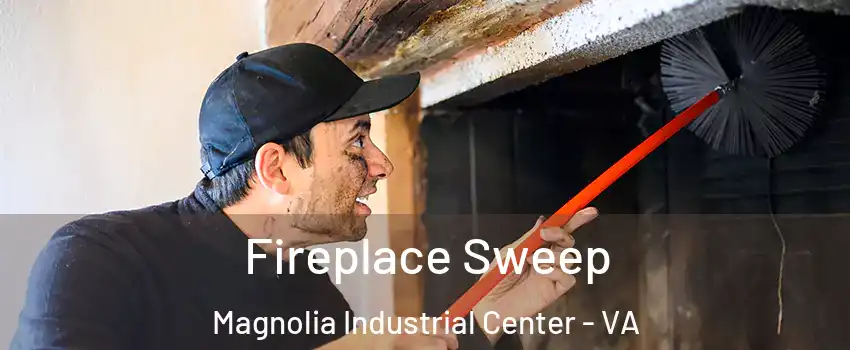 Fireplace Sweep Magnolia Industrial Center - VA