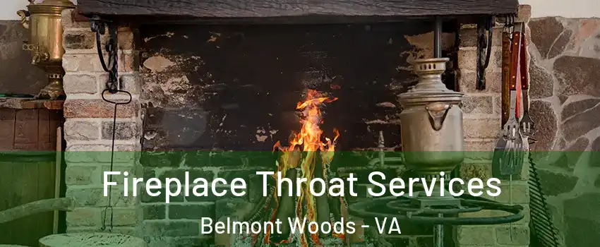 Fireplace Throat Services Belmont Woods - VA