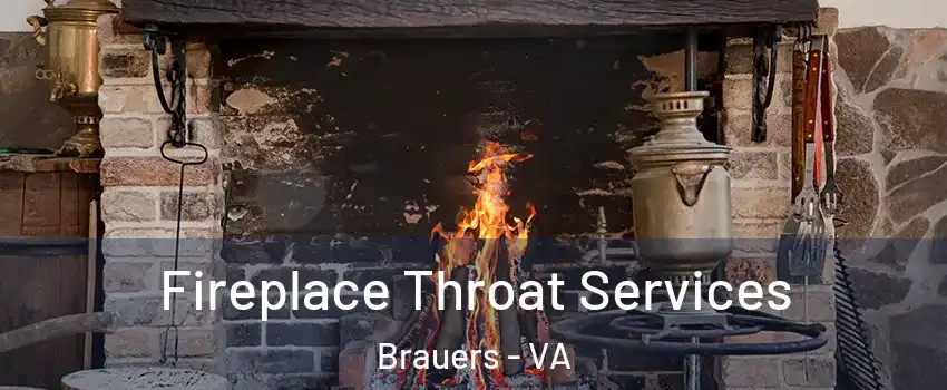 Fireplace Throat Services Brauers - VA