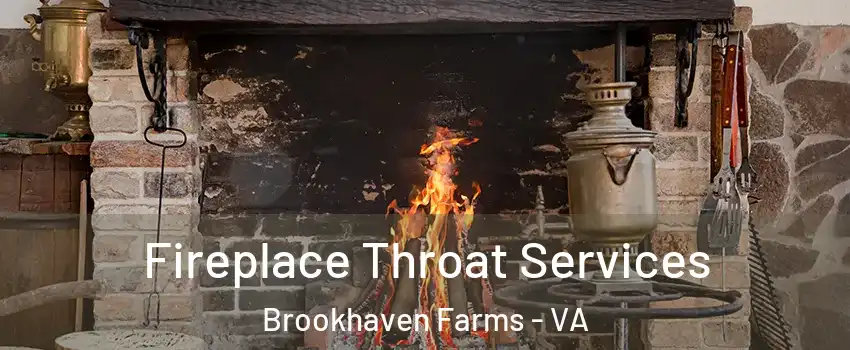 Fireplace Throat Services Brookhaven Farms - VA