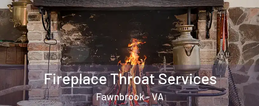 Fireplace Throat Services Fawnbrook - VA