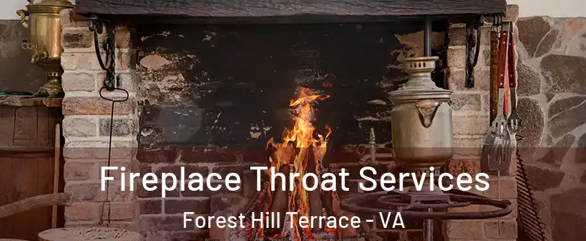 Fireplace Throat Services Forest Hill Terrace - VA