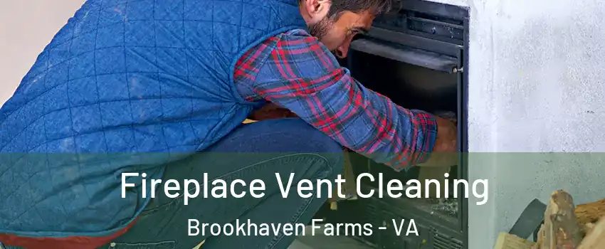 Fireplace Vent Cleaning Brookhaven Farms - VA