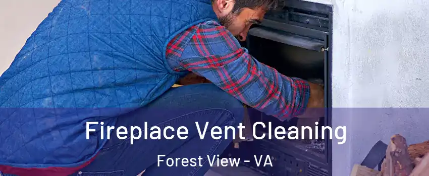 Fireplace Vent Cleaning Forest View - VA