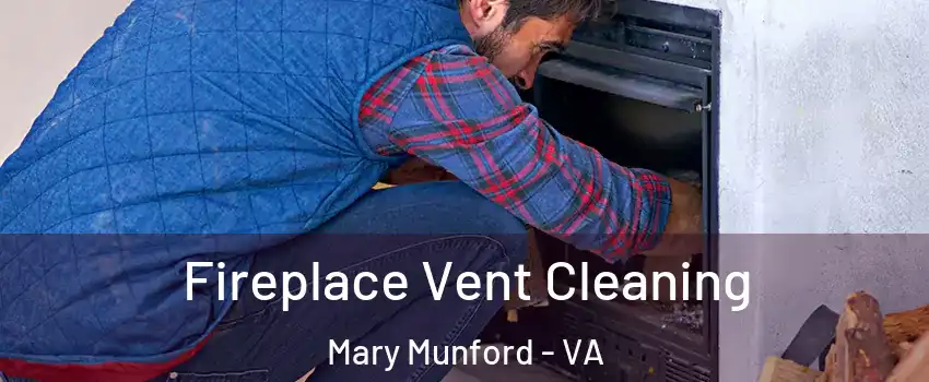 Fireplace Vent Cleaning Mary Munford - VA