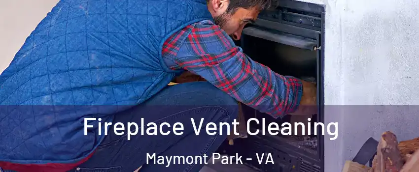 Fireplace Vent Cleaning Maymont Park - VA