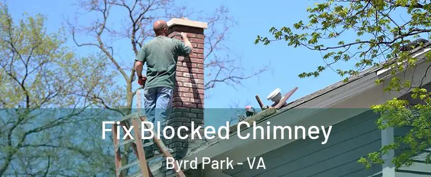 Fix Blocked Chimney Byrd Park - VA