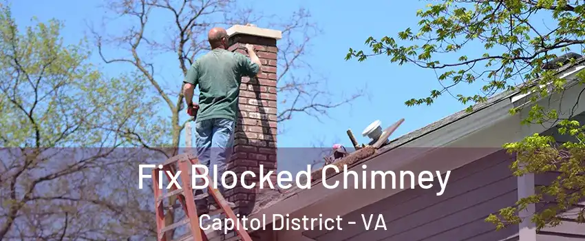 Fix Blocked Chimney Capitol District - VA