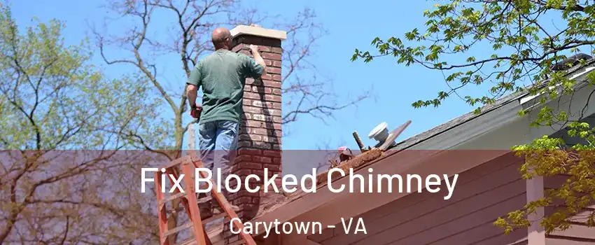 Fix Blocked Chimney Carytown - VA